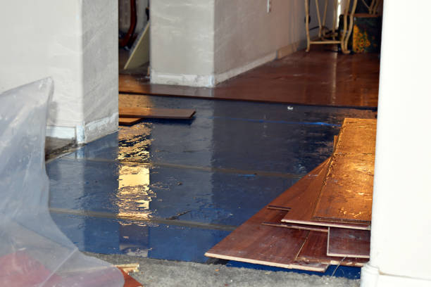 Professional Flood Cleanup technician working in Brownsville, OR